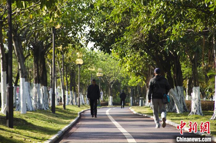 圖為市民、游客在海灣綠道散步?！〉岳顝?qiáng) 攝