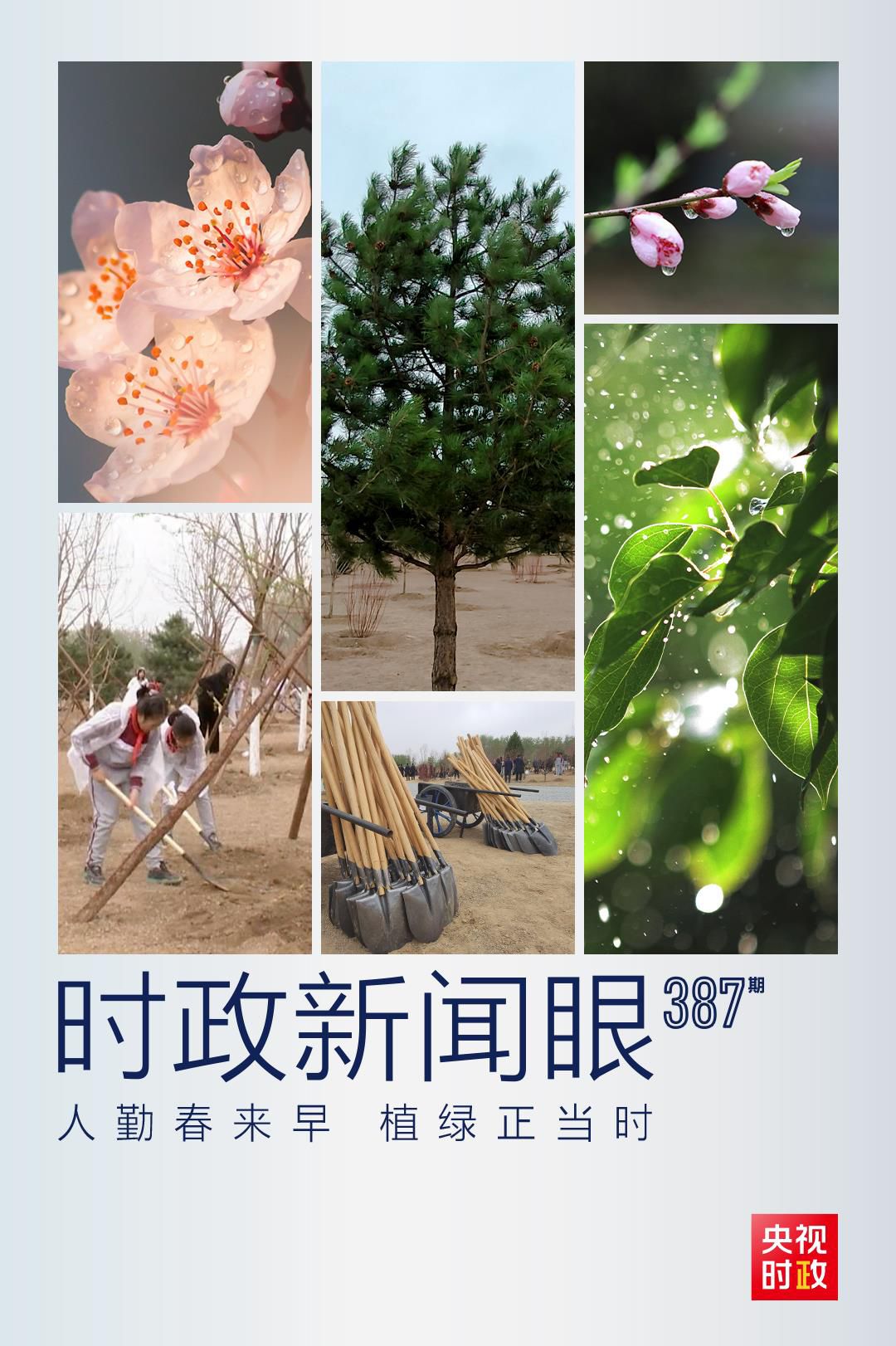 在今年首都義務(wù)植樹現(xiàn)場，習(xí)近平這三句話飽含深意