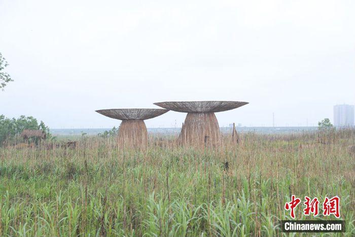 江水變清、江豚重現(xiàn)……這座城市如何守護(hù)碧水