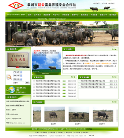 ̩���ГP(y��ng)�������B(y��ng)ֳ��(zhu��n)�I(y��)������